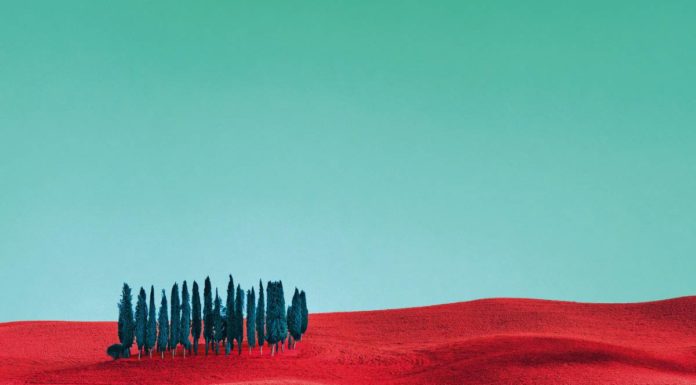 Pantone – Svet obojen drugačijim bojama Pantone- Primer 5